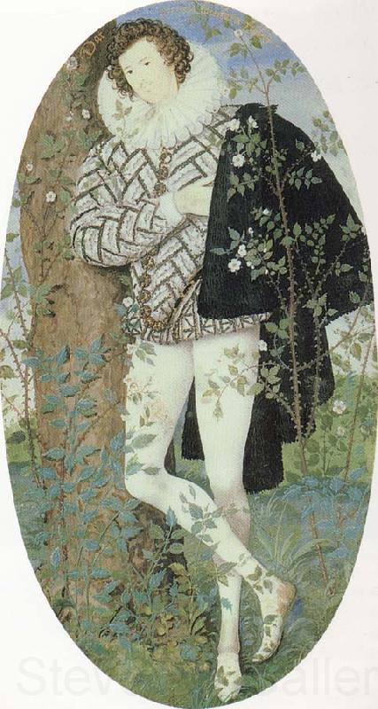 Nicholas Hilliard A Youth Leaning Against a Tree Among Roses Norge oil painting art